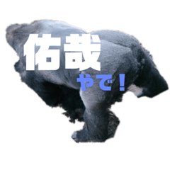 saori_20200812223105