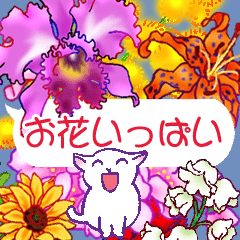 Flowers with a cat