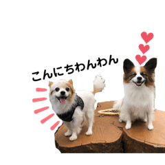 Haruna_20200813013447