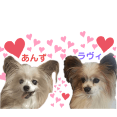 Haruna_20200813050526