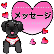 Kanaru the black Miniature Schnauzer 2