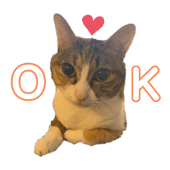 haruna_20200813013821