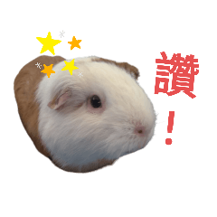 毛毛的想法