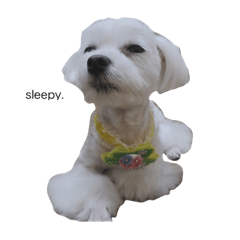 yurina_20200813122055