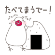関西弁の白文鳥 3