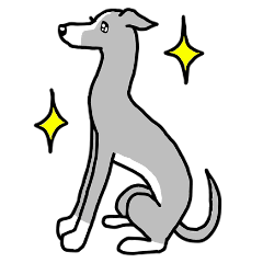 Dog stamp Italian Grey hound(Gray color)