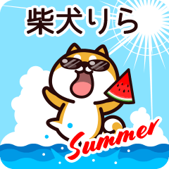 Shiba Rira in Summer