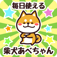 Petit Shiba Abechan (Everyday)