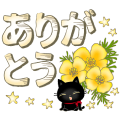 A kitten of a black cat 3