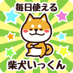 Petit Shiba Ikkun (Everyday)