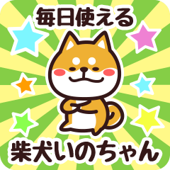 Petit Shiba Inochan (Everyday)