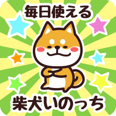 Petit Shiba Inocchi (Everyday)