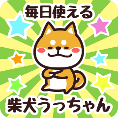 Petit Shiba Ucchan (Everyday)