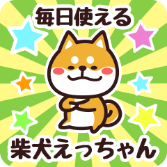 Petit Shiba Etchan (Everyday)