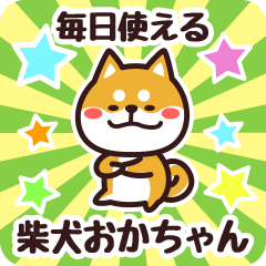 Petit Shiba Okachan (Everyday)