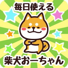 Petit Shiba Oochan (Everyday)