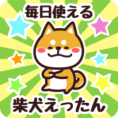 Petit Shiba Ettan (Everyday)