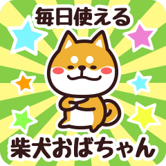 Petit Shiba Obachan (Everyday)