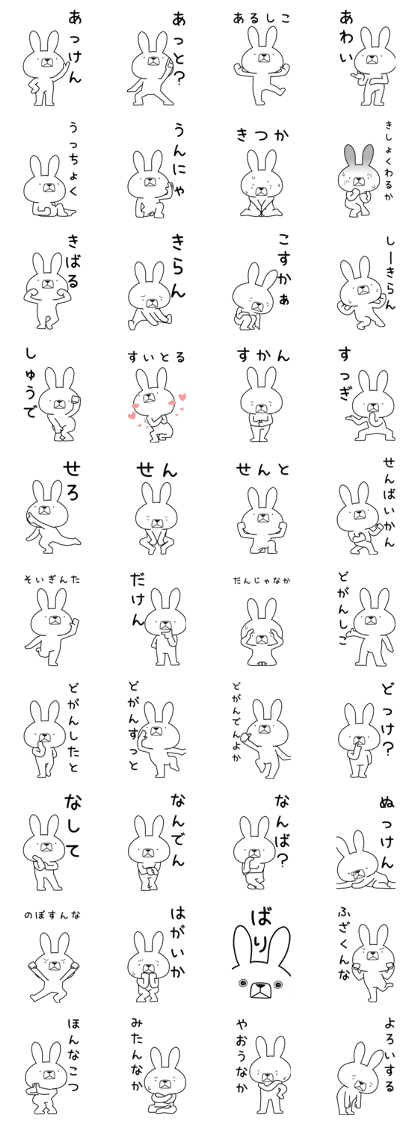 BIG Dialect rabbit [sasebo]