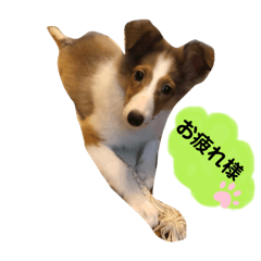 Asako_20200813132522