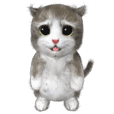 Animation Mofu Kitten Mofuu