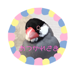 nomie_20200813154554