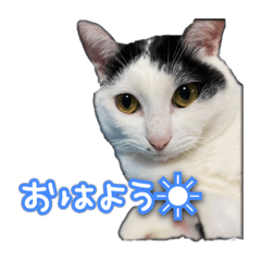 Liona Japan_20200813141639