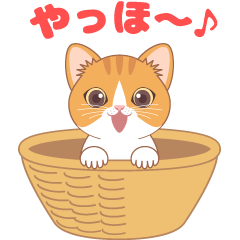 Moving Kitty
