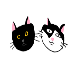 MY CATS - KIKI & LALA