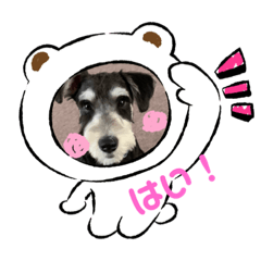 Ayumi_20200813180135