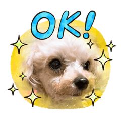 Kazumi_20200813191910