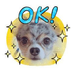 Kazumi_20200813193802