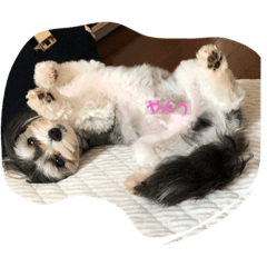 saori_20200813215732