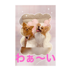 yukari_20200813222221