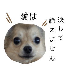 Ayano_20200814000507