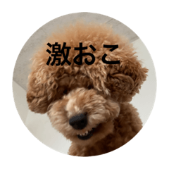 Hana_20200814003745