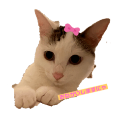 SORIMICHI