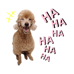 gomanerobene
