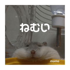 RINOsan_20200814000629