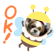 miyu0214_20200814111742