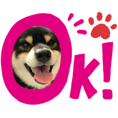 omochi_20200814004939