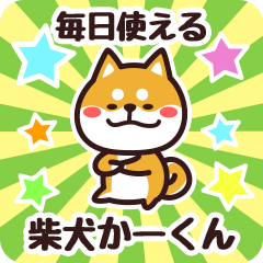 Petit Shiba Kaakun (Everyday)