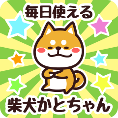 Petit Shiba Katochan (Everyday)