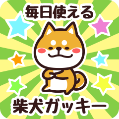 Petit Shiba Gakkii (Everyday)