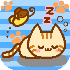 Brown cat MARURON