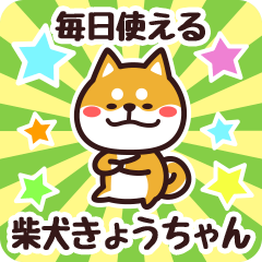 Petit Shiba Kyouchan (Everyday)