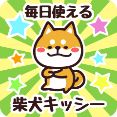 Petit Shiba Kisshii (Everyday)