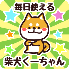 Petit Shiba Kuchan (Everyday)