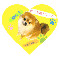 Risa_20200814003500