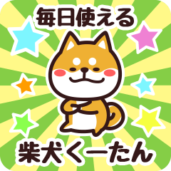 Petit Shiba Kuutan (Everyday)